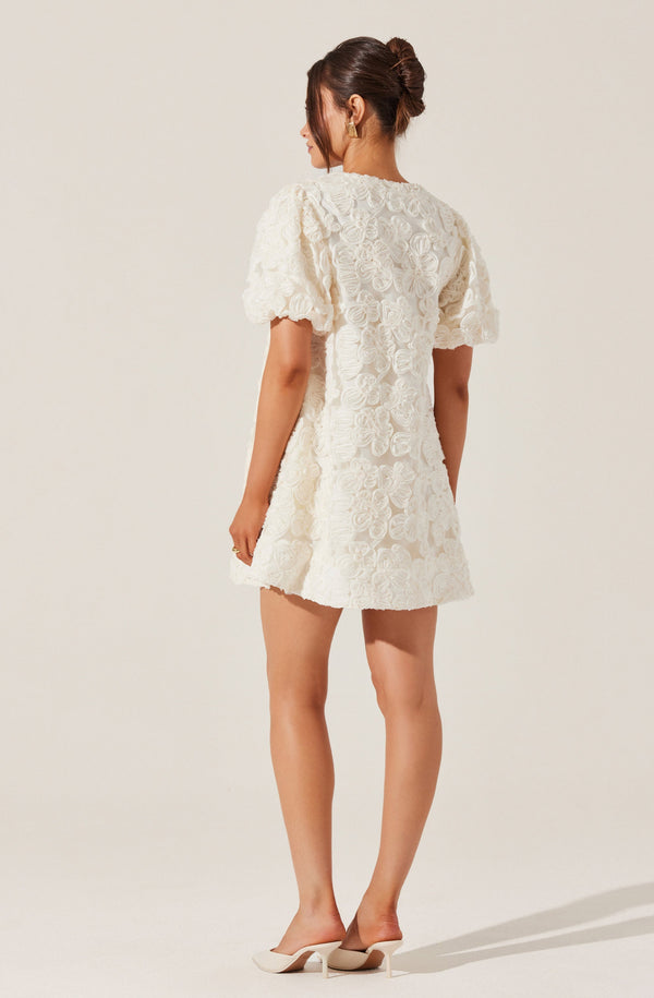 Astr The Label Lakelyn Floral Embroidered Mini Dress