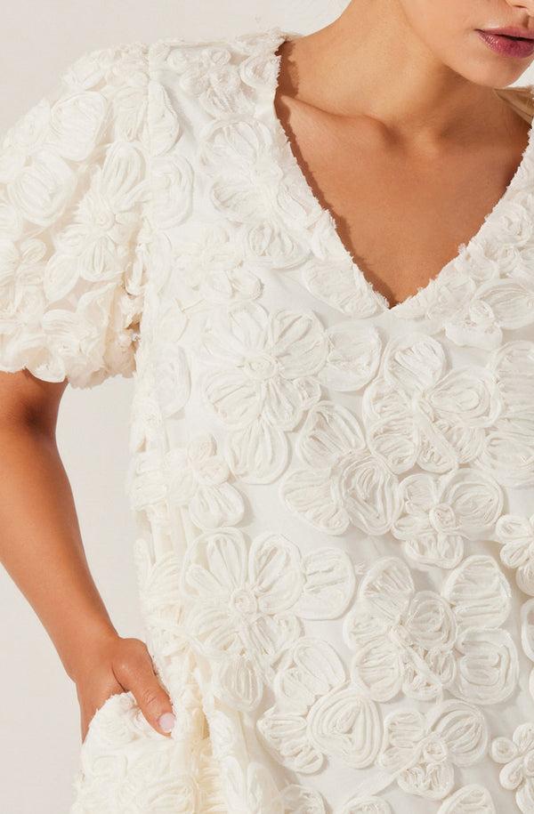 Astr The Label Lakelyn Floral Embroidered Mini Dress