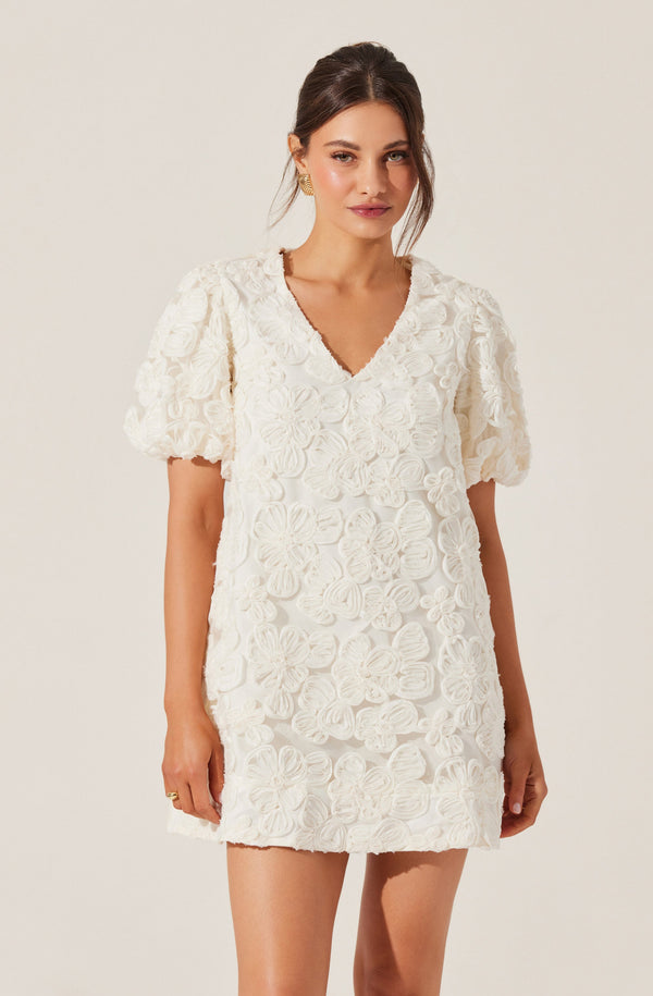 astr the label Lakelyn Floral Embroidered Mini Dress