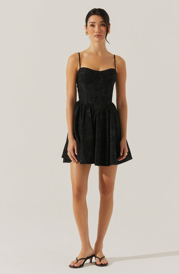 Astr The Label Linelly Jacquard Bustier Skater Dress