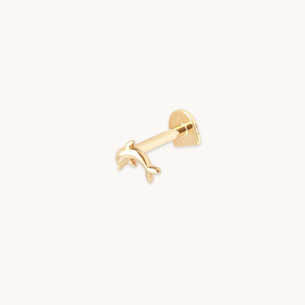 astrid & miyu Dolphin Piercing Stud in Solid Gold