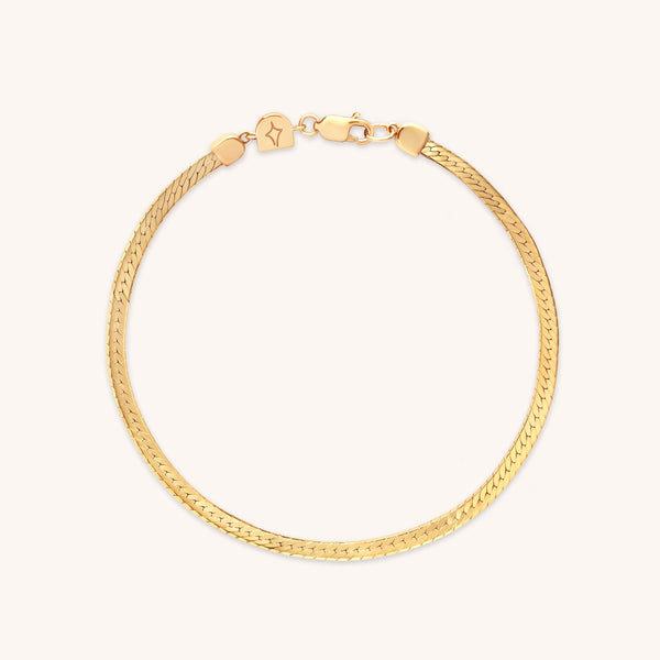 astrid & miyu Essential Snake Chain Bracelet in Gold