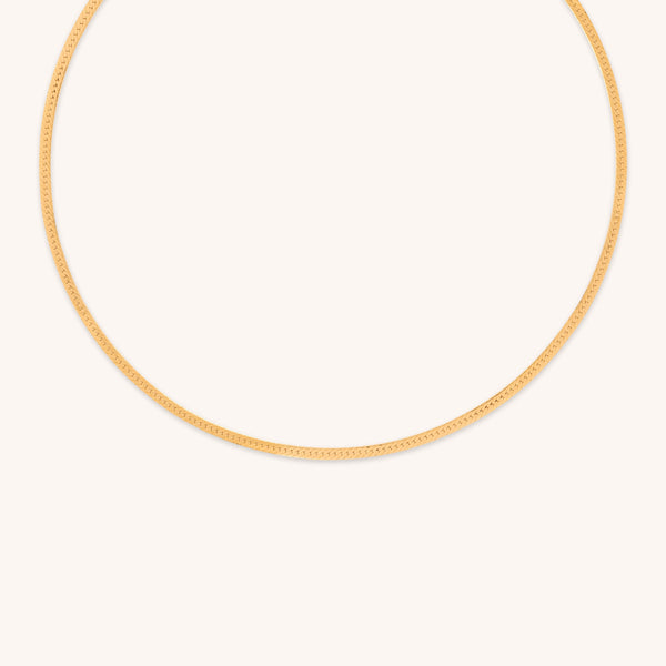 astrid & miyu Essential Snake Chain Necklace in Gold