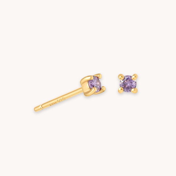 astrid & miyu February Birthstone Stud Earrings in Gold with Amethyst CZ