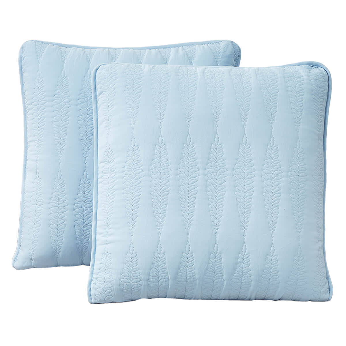 At Home 2-Pack Light Blue Embroidered Washed Microfiber Throw Pillows 18"