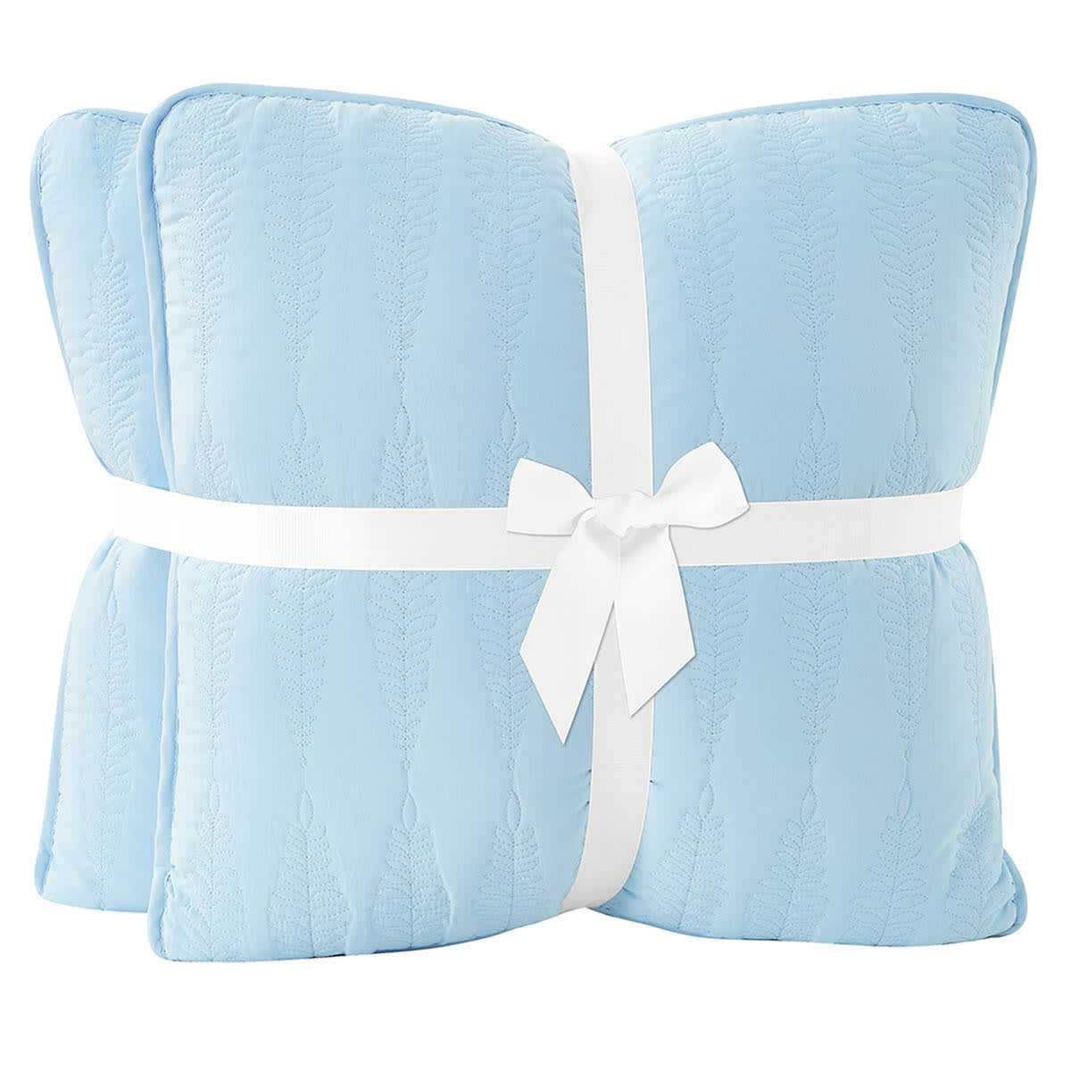 At Home 2-Pack Light Blue Embroidered Washed Microfiber Throw Pillows 18"