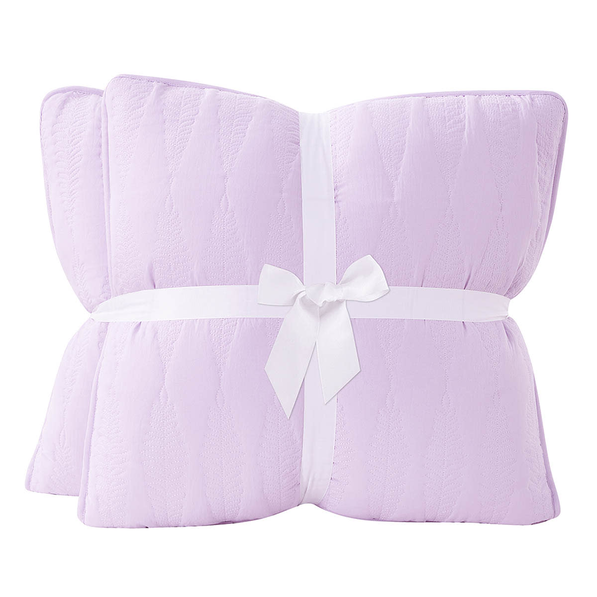 At Home 2-Pack Purple Embroidered Washed Microfiber Throw Pillows 18"