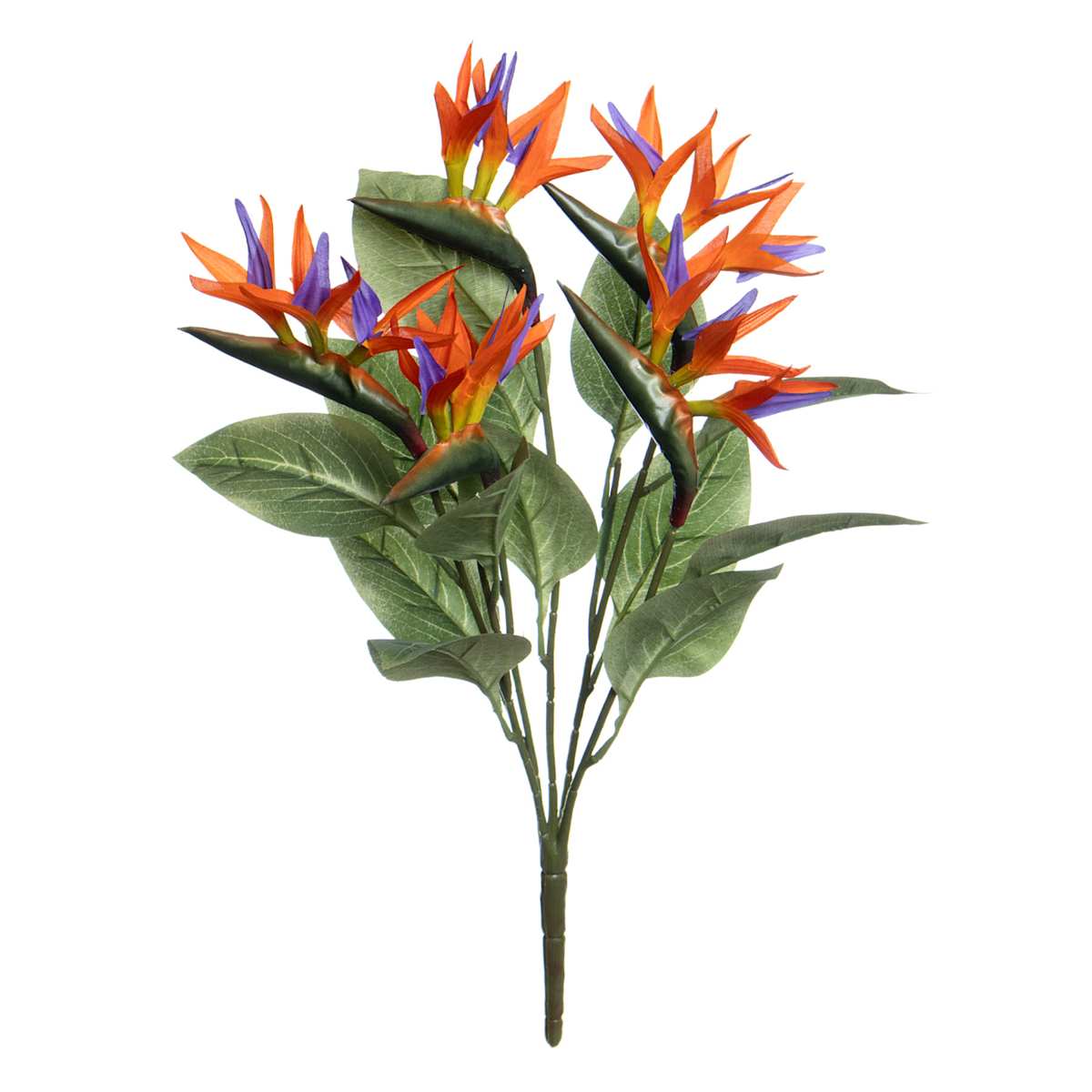 At Home Bird Of Paradise Wreath 22"