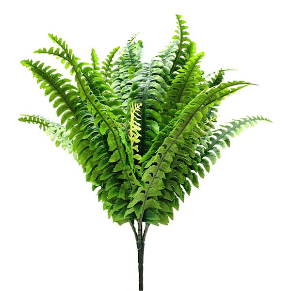 at home Boston Fern Bush 30"