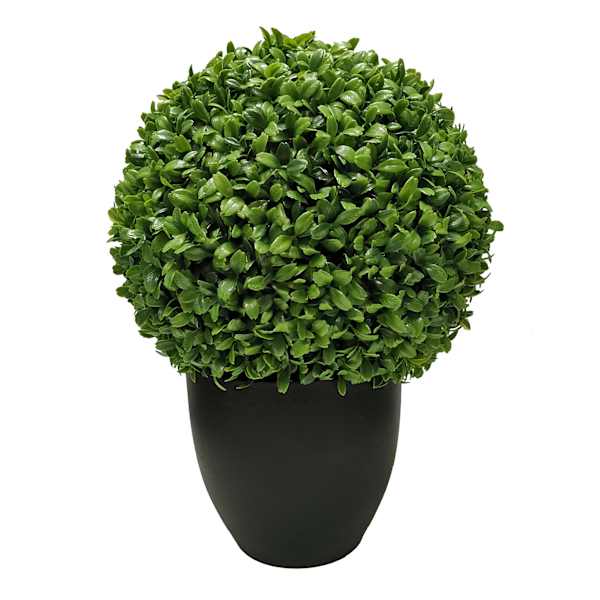 at home Boxwood Ball Plant with Black Planter 16"