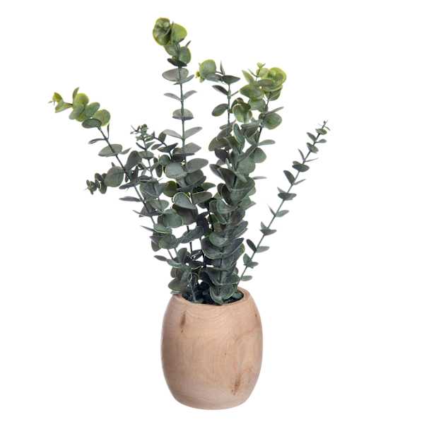 at home Eucalyptus Spray in Wooden Pot 16"