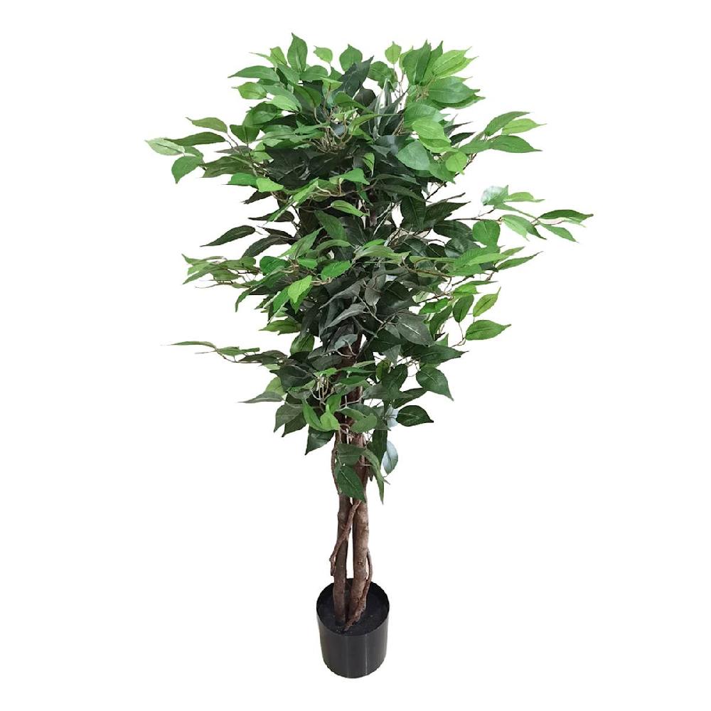 At Home Ficus Tree In Black Pot 4'