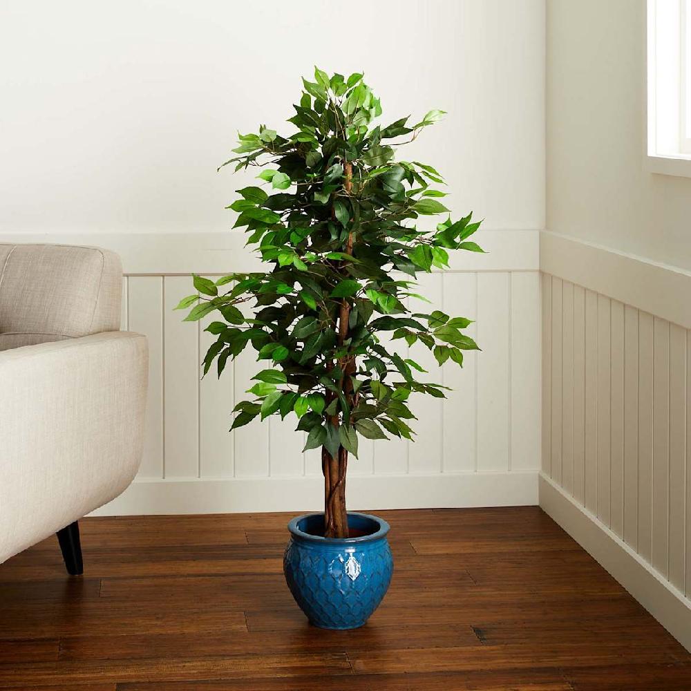 At Home Ficus Tree In Black Pot 4'