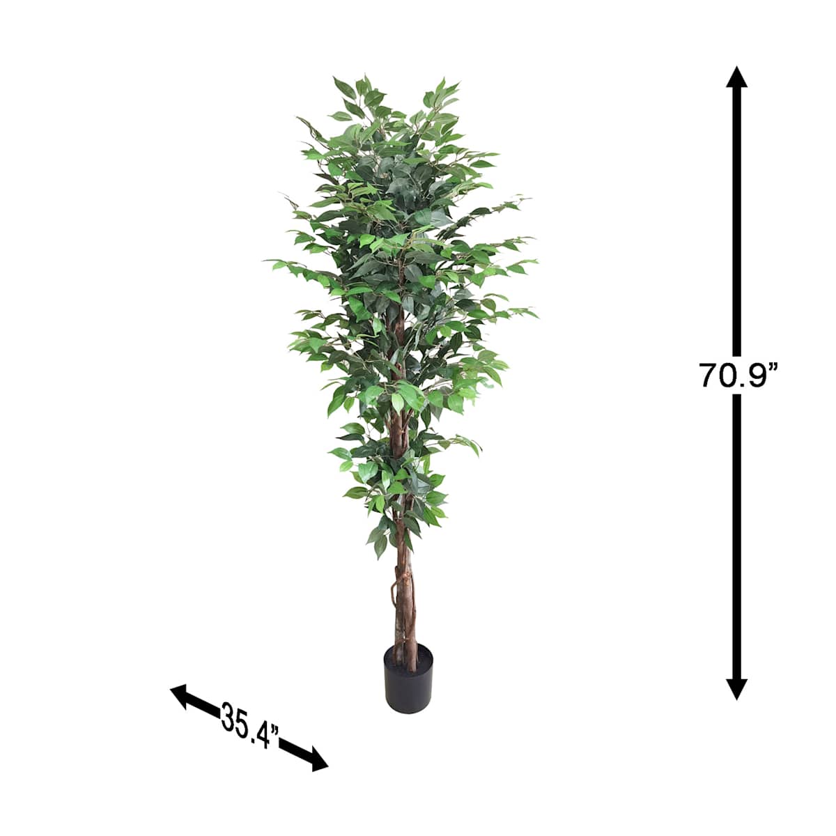 At Home Ficus Tree In Black Pot 6'