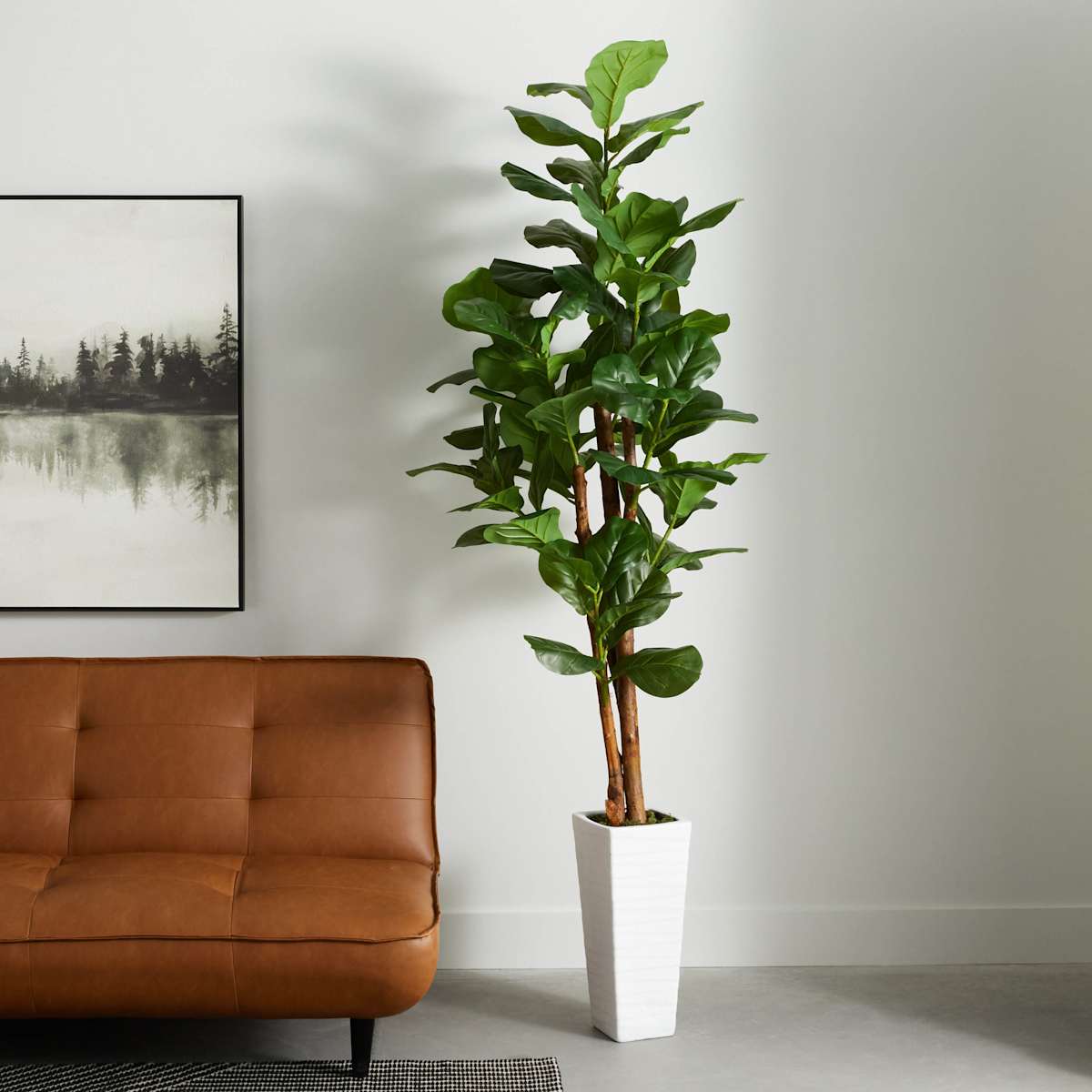 At Home Fig Tree In White Square Pot 7'