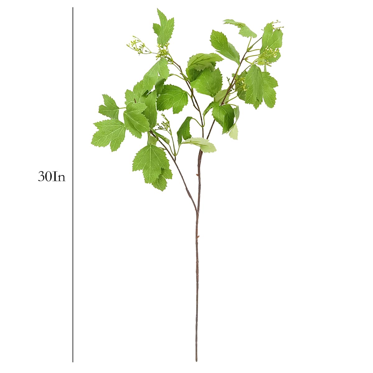 At Home Flowering Stem 30"