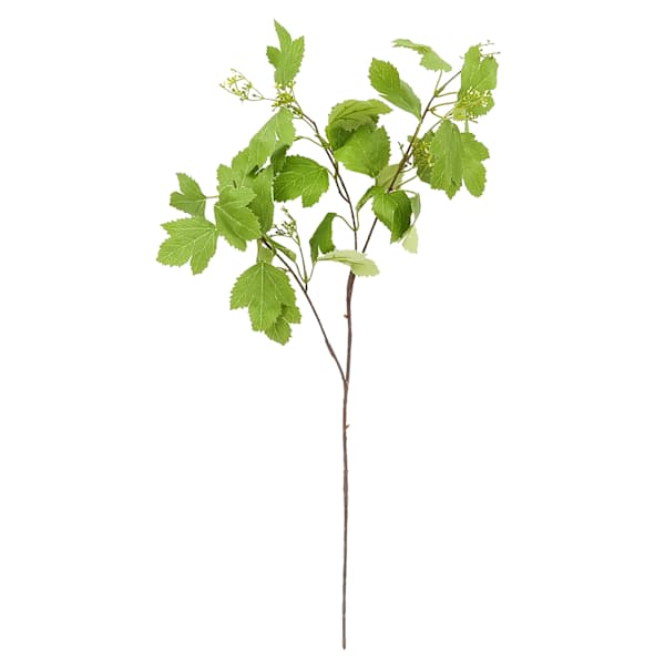 at home Flowering Stem 30"