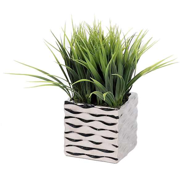at home Grass Plant with Silver Wave Planter 10"