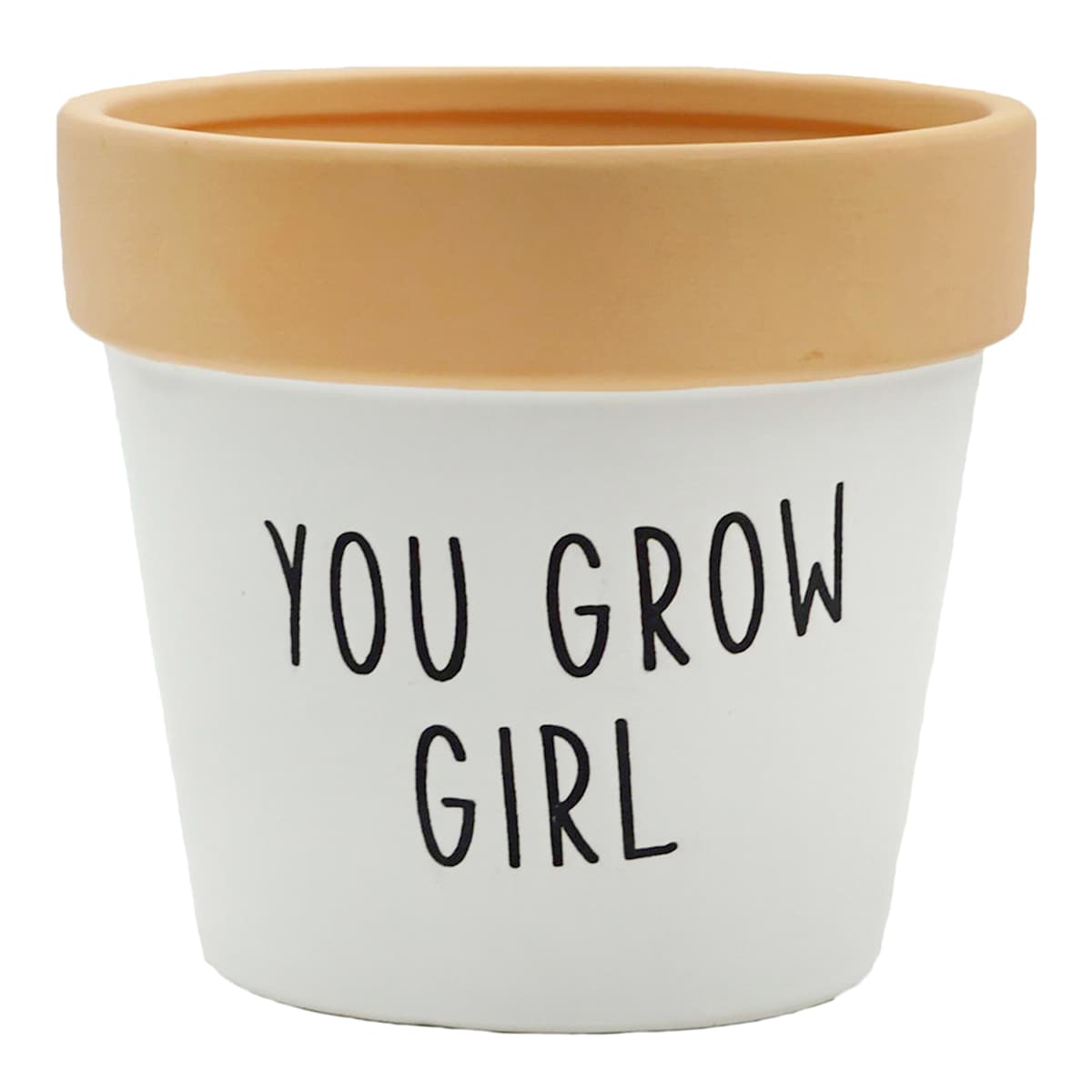 At Home Indoor Crazy Plant Lady Ceramic Planter 5"