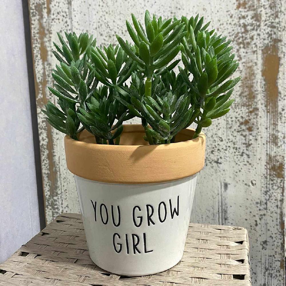 At Home Indoor Crazy Plant Lady Ceramic Planter 5"