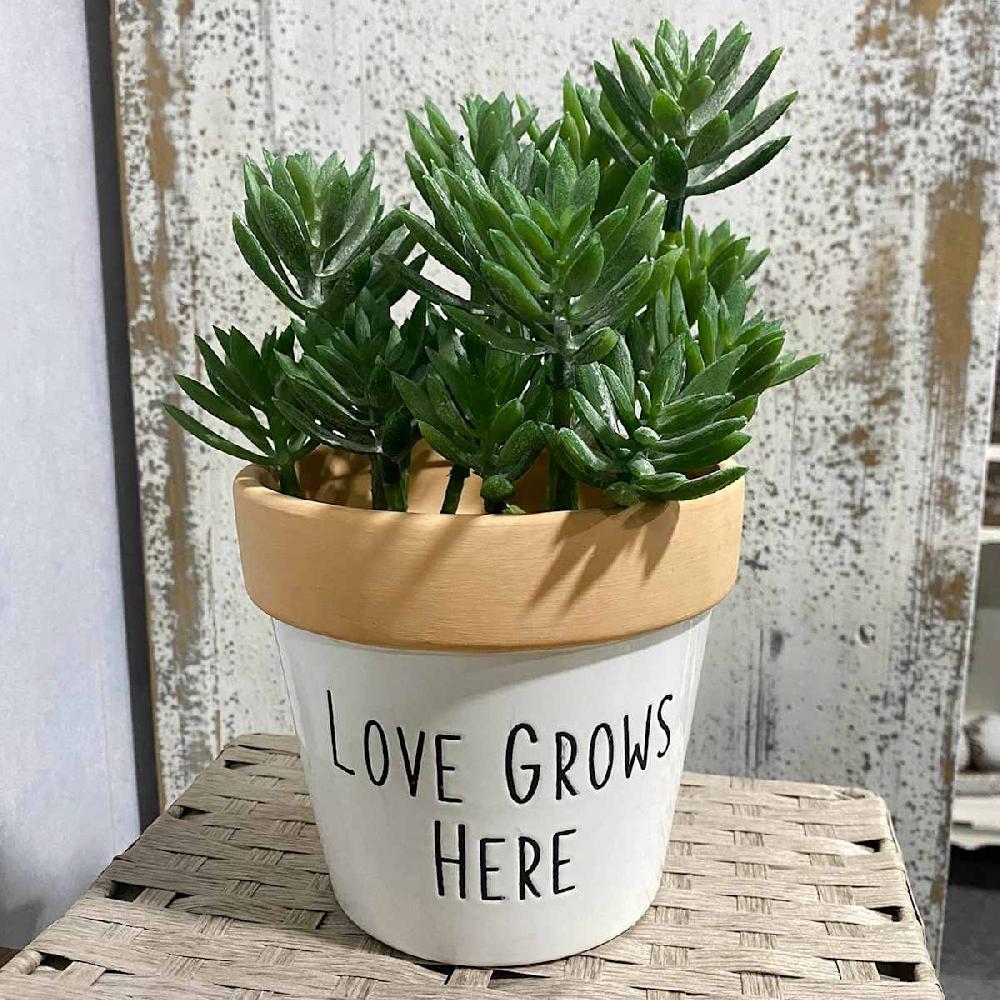 At Home Indoor Love Grows Here Ceramic Planter 5"