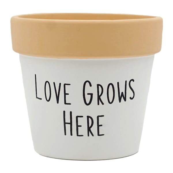 at home Indoor Love Grows Here Ceramic Planter 5"