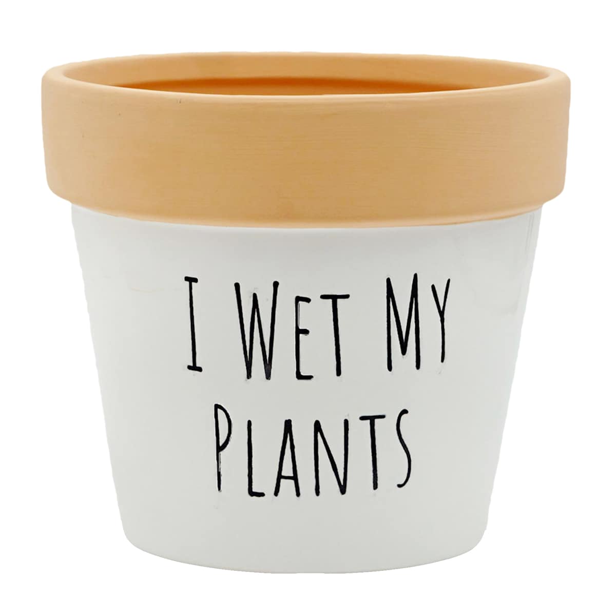 At Home Indoor Wet My Plants Ceramic Planter 5"