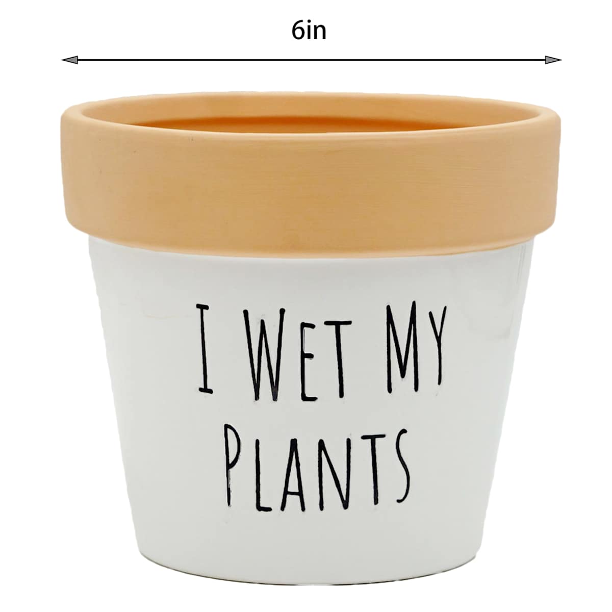 At Home Indoor Wet My Plants Ceramic Planter 5"