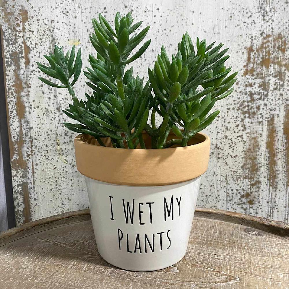 At Home Indoor Wet My Plants Ceramic Planter 5"