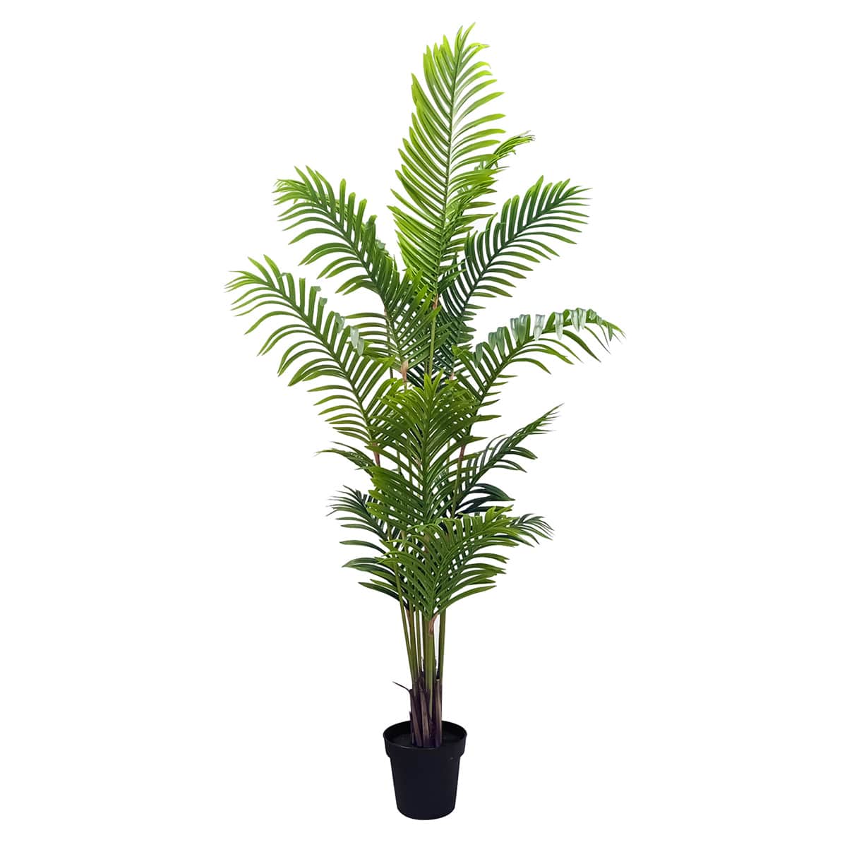 At Home Potted Areca Palm Plant 6'