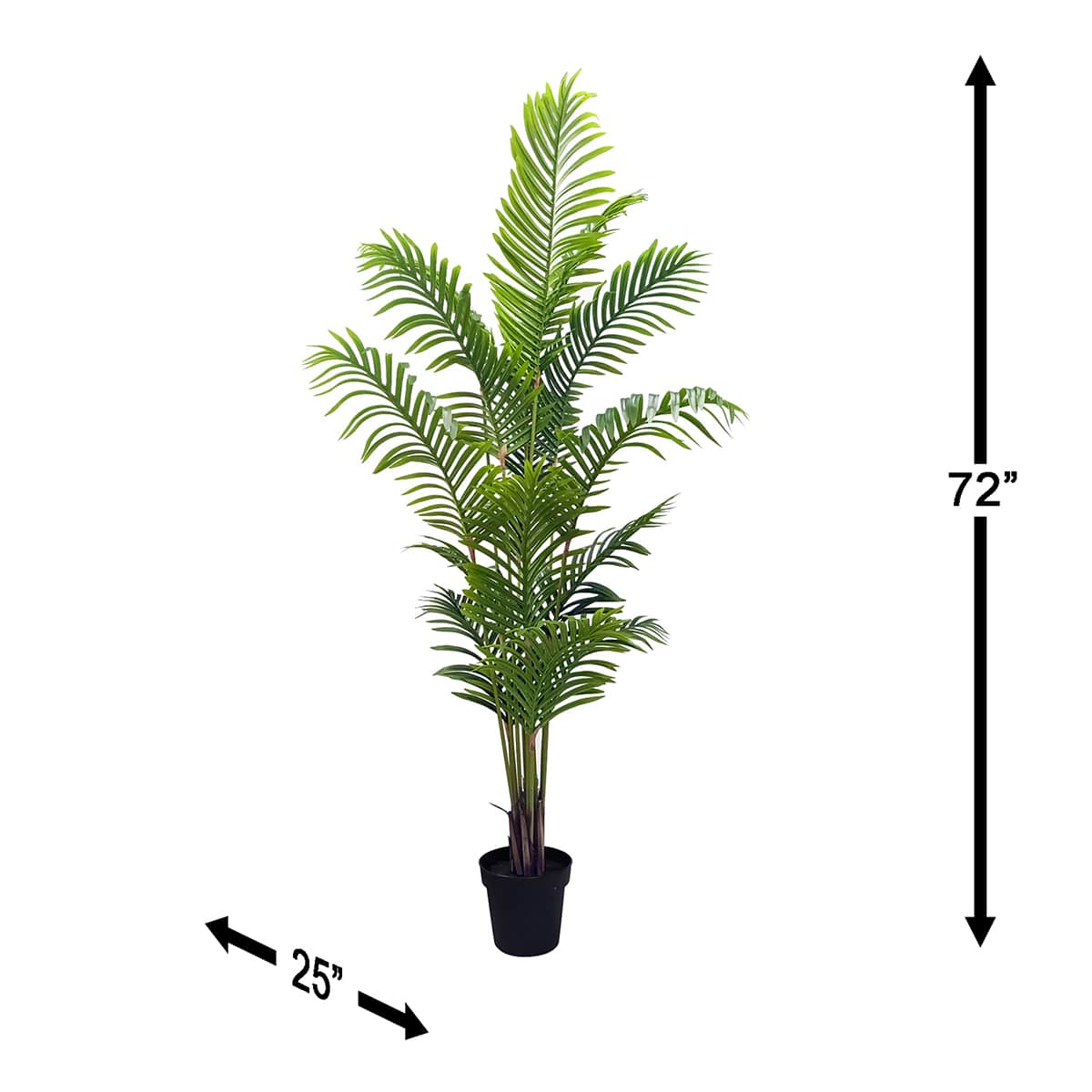 At Home Potted Areca Palm Plant 6'