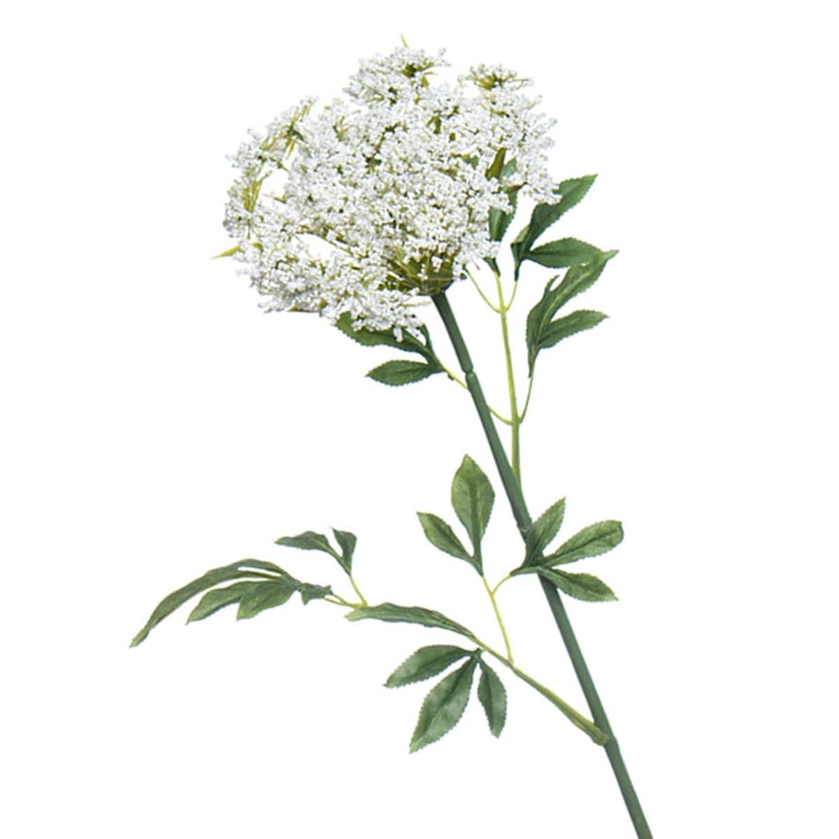 At Home Queen Ann's Lace Stem 31"