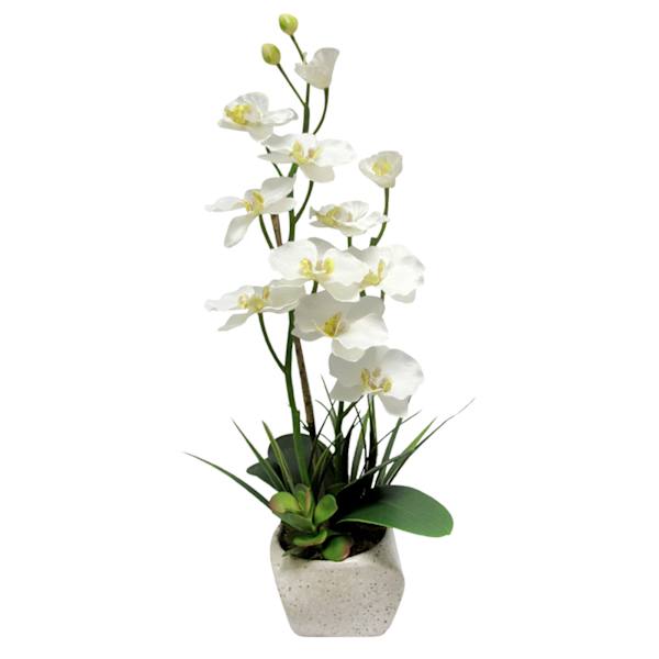 at home White Orchid Flower with Stone Planter 23"