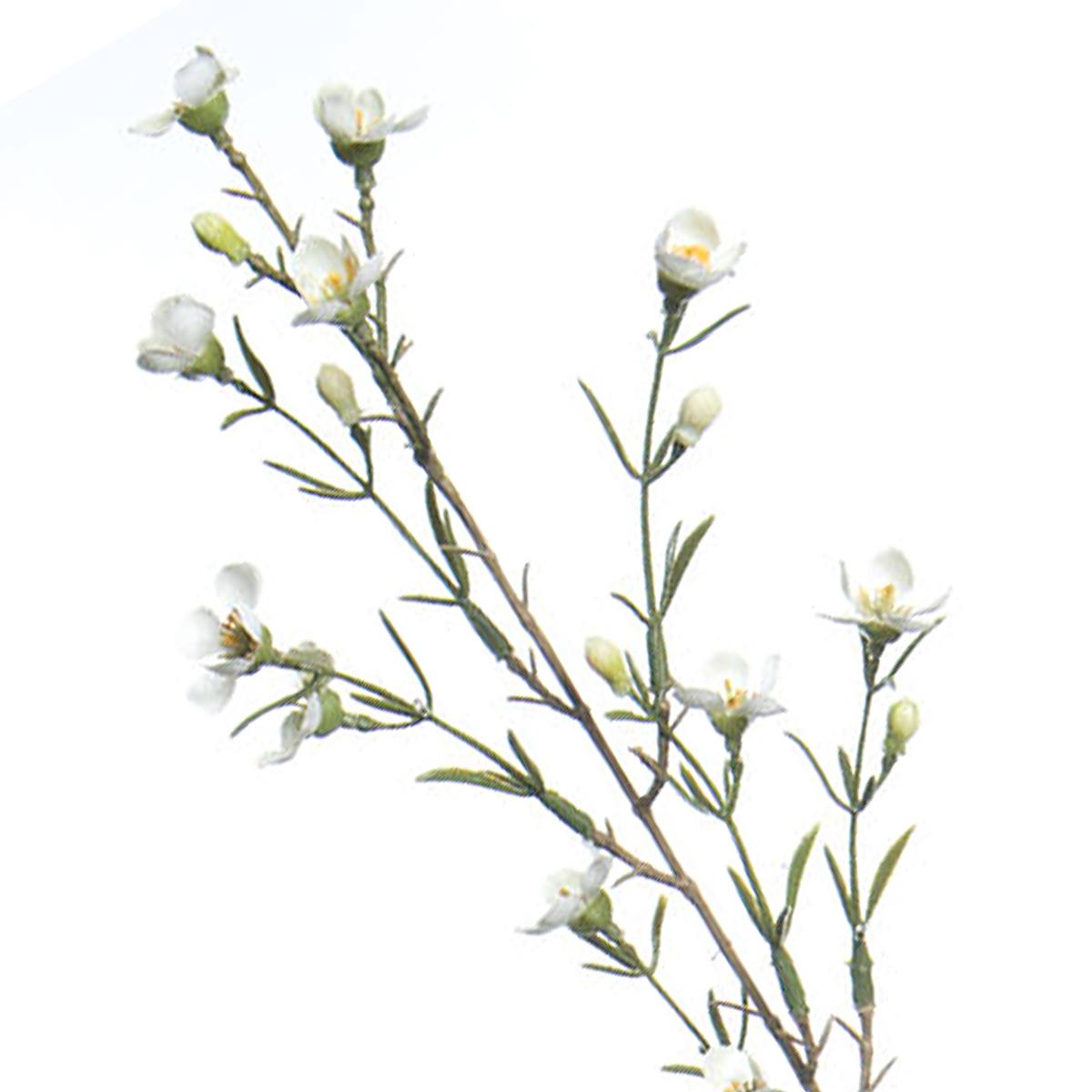 At Home White Wax Flower Spray 30"