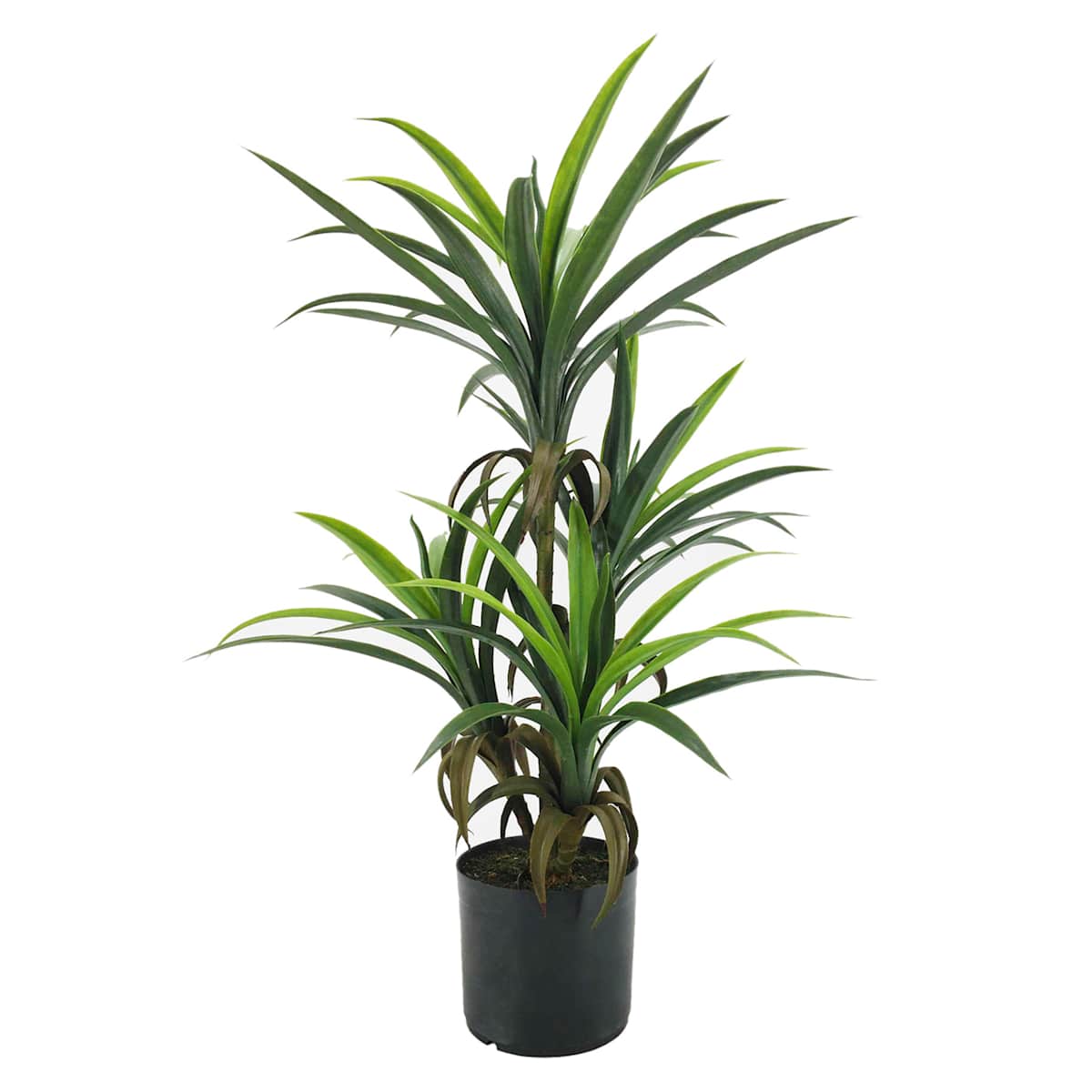At Home Yucca Tree With Black Planter 33"