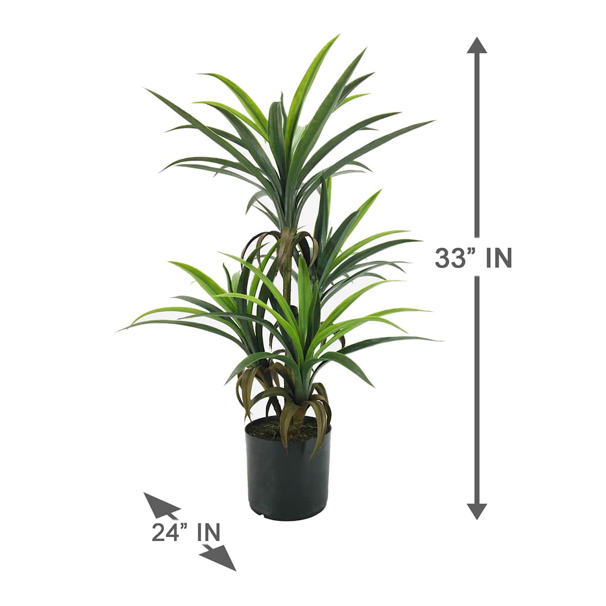 At Home Yucca Tree With Black Planter 33"