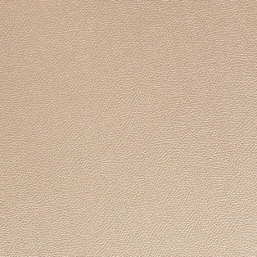 At Home Belmar Champagne & Silver Oval Placemat 13x18