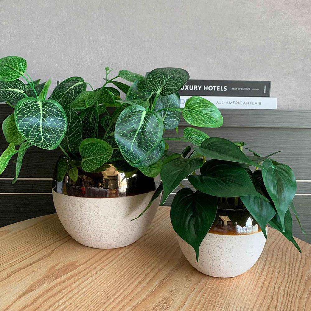 At Home Indoor Cream Ceramic Pot With Bronze Trim Medium