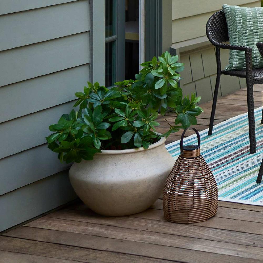 At Home Schefflera & Umbrella Arrangement In Black Pot 35"