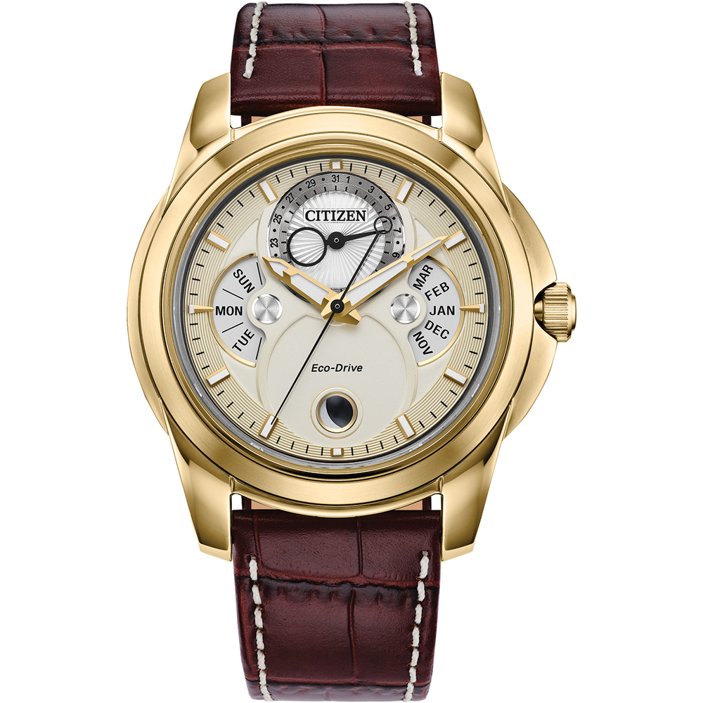 attesa Calendrier Moonphase