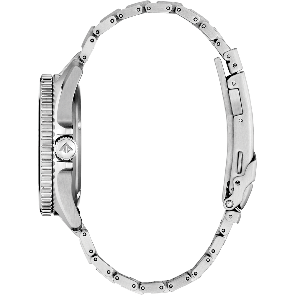 Attesa Promaster Diver