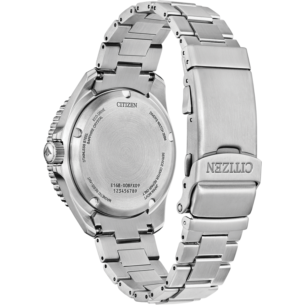Attesa Promaster Diver