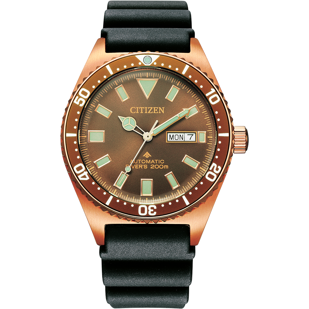attesa Promaster Diver Automatic