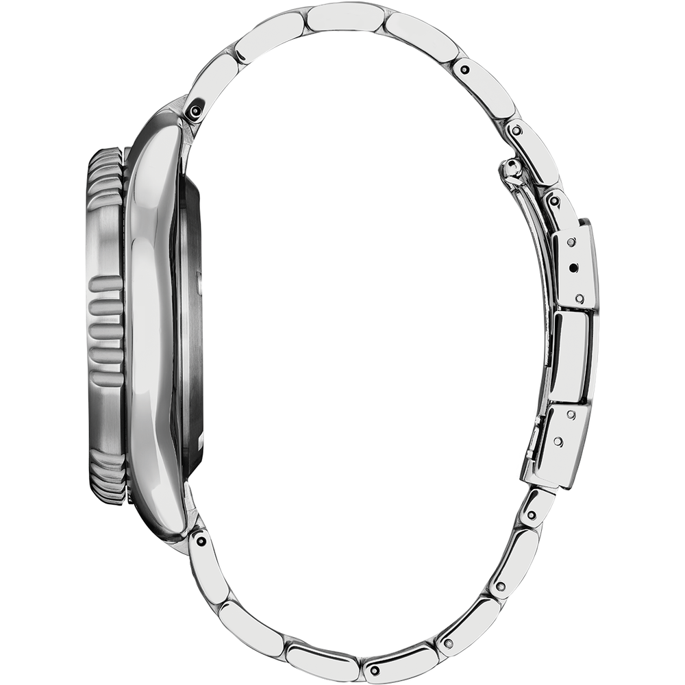 Attesa Promaster Diver Automatic