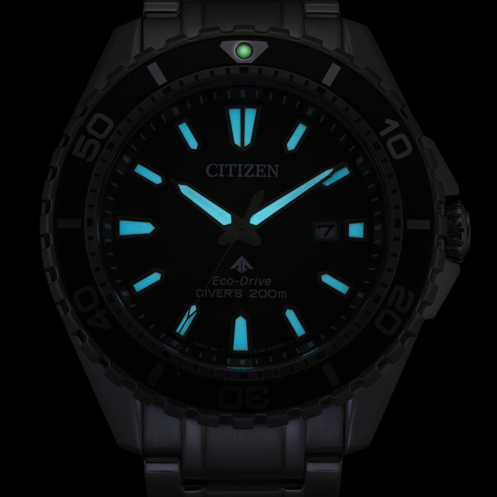 Attesa Promaster Diver