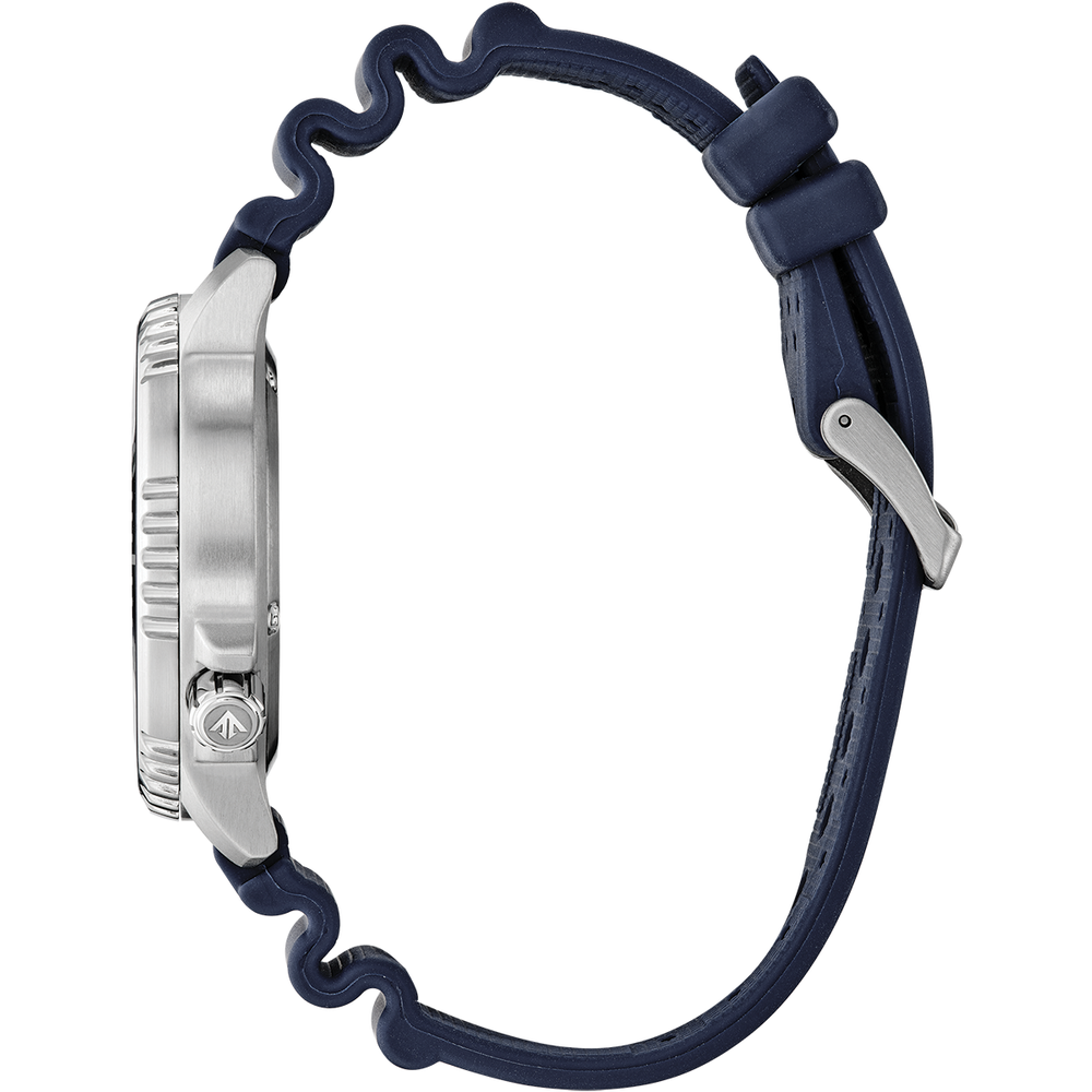 Attesa Promaster Diver