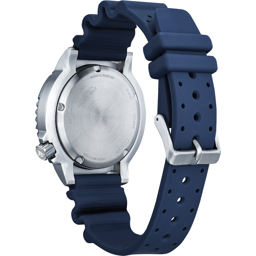 Attesa Promaster Diver