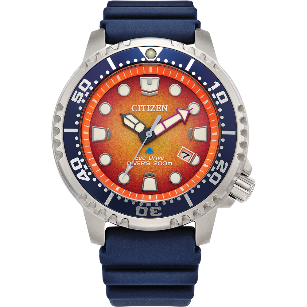 attesa Promaster Diver