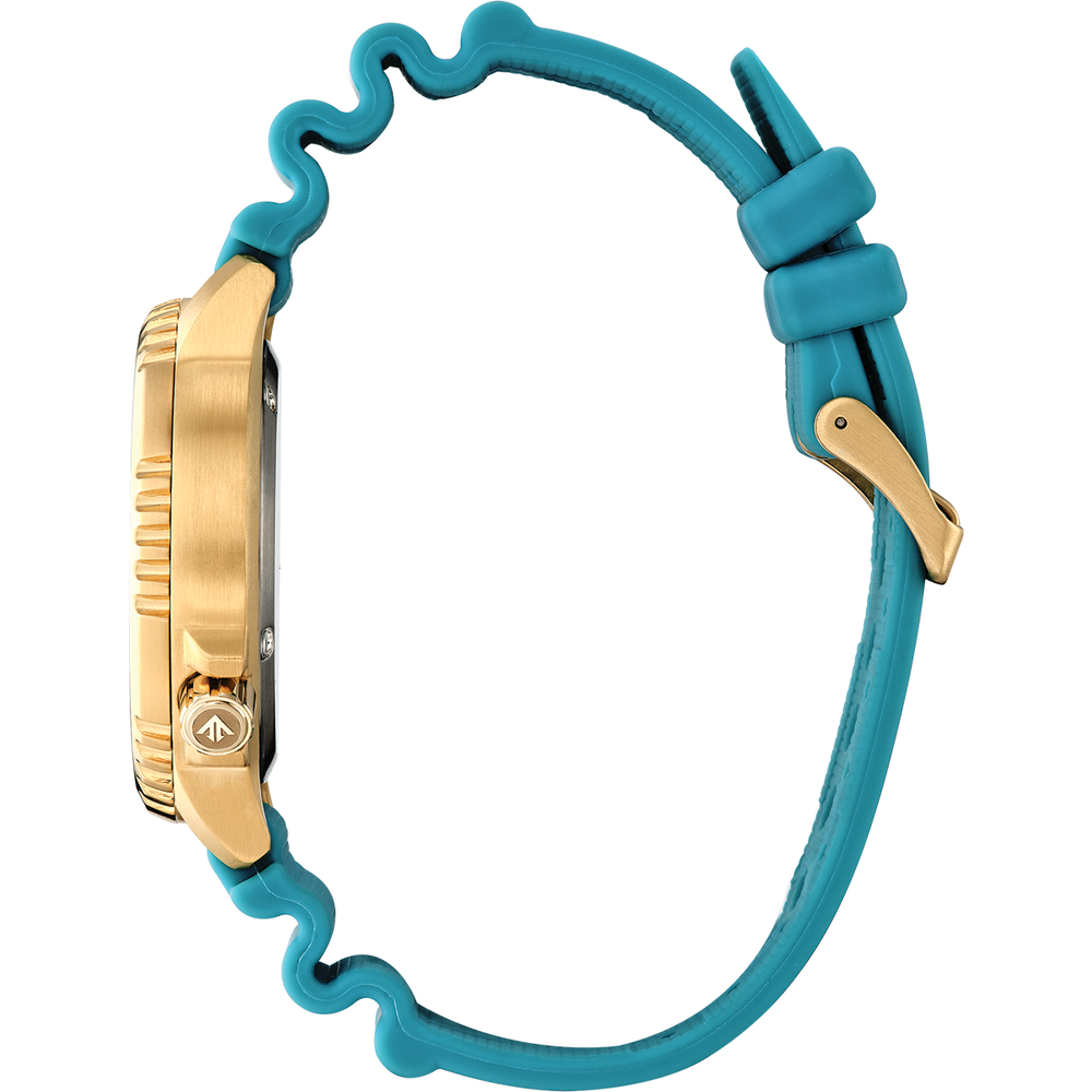 Attesa Promaster Diver