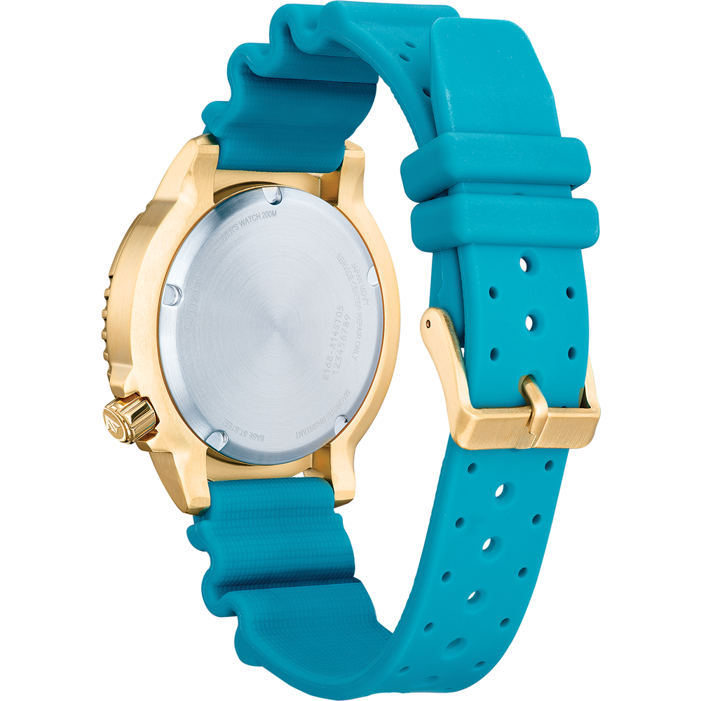 Attesa Promaster Diver